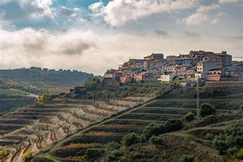 The Priorat Wine Tour from Barcelona You Can't Miss - Travel Bliss Now