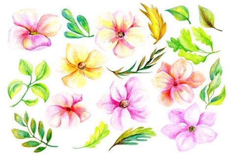Pencil & watercolor florals | Flower art, Watercolor flowers, Drawing clipart