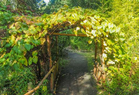 Durham - The Botanic Garden | BaldHiker