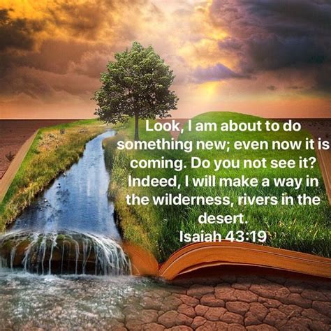 Isaiah 43:19 | Rivers in the desert, Isaiah 43 19, Isaiah 43