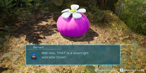 8 Tips To Make Most Of Your Day In Pikmin 4