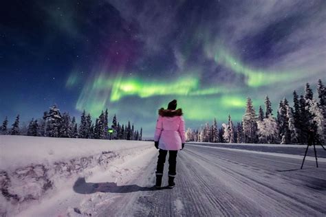 28 stunning images of the Northern Lights - November 20, 2023 | Reuters