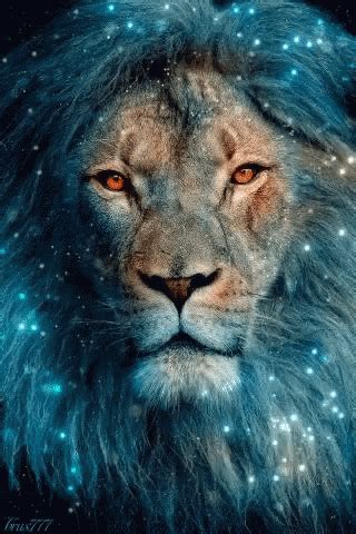 Blue Lion Sparkle GIF - BlueLion Sparkle Lions - Discover & Share GIFs