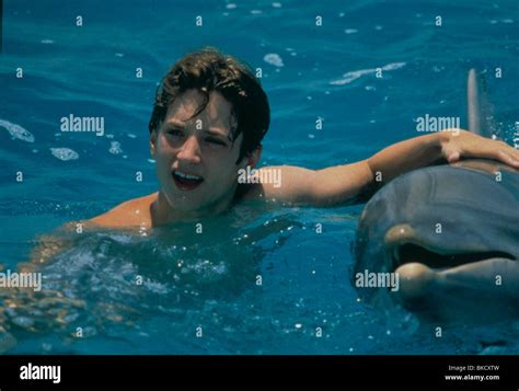 FLIPPER -1996 ELIJAH WOOD Stock Photo - Alamy