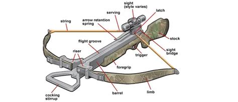 Hunting With A Crossbow