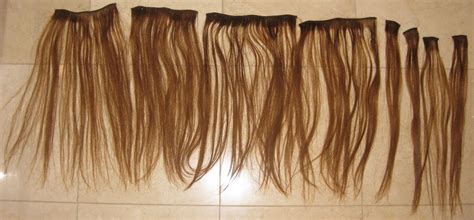 Euronext Human Hair Clip In Hair Extensions | newhairstylesformen2014.com