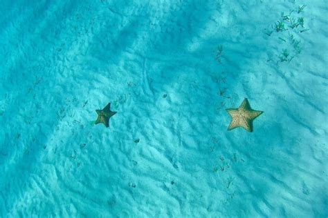 Best Snorkeling in Cozumel: 12 Amazing Spots for 2024