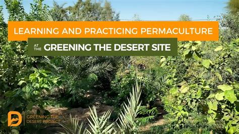 Greening The Desert Project - PRI Jordan - Permaculture Demonstration Site