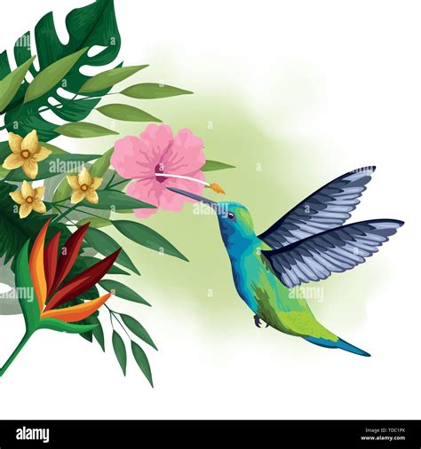 Exotic bird and tropical flowers drawing Stock Vector Image & Art - Alamy