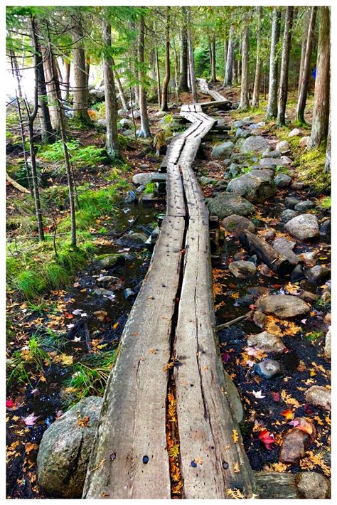 Best Easy Hikes in Acadia National Park | Hiking national parks, Acadia national park maine ...