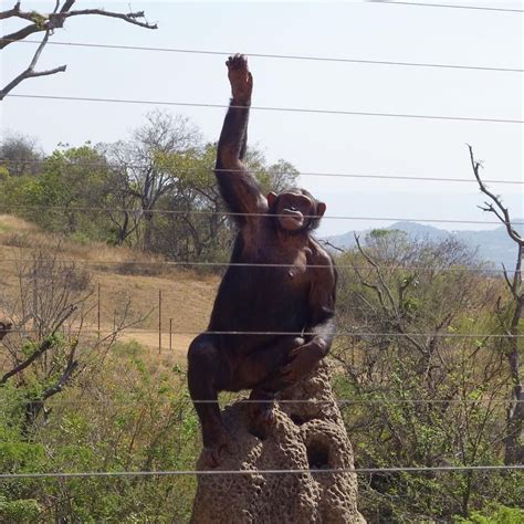 10 fun and interesting things to do in Nelspruit - Briefly.co.za