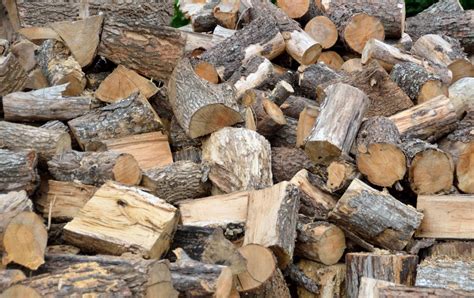 Quality Firewood Logs – Caddis