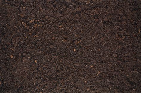 Rich Soil Texture