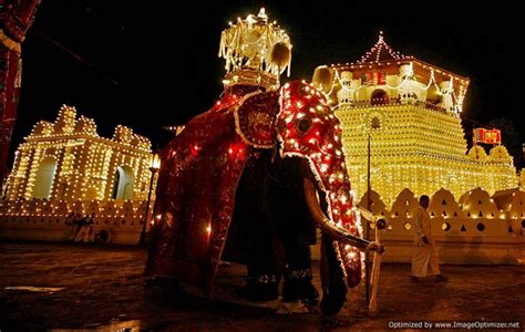 Dalada Perahera begins today