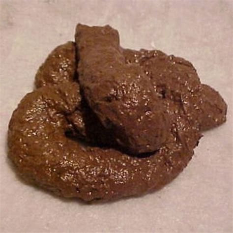 PREMIUM Fake Dog Poop Doggie Poo Realistic Doggy Doo Doo Dirt Joke Gag ...