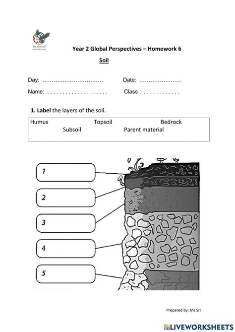 Soil Layers | Interactive Worksheet | Education.com - Worksheets Library