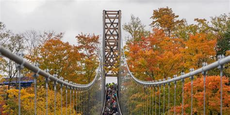 World’s longest timber-towered suspension bridge opens to daring ...