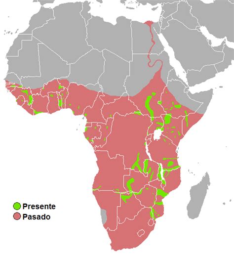 Distribución del hipopótamo | Hippopotamus, Map, Historical