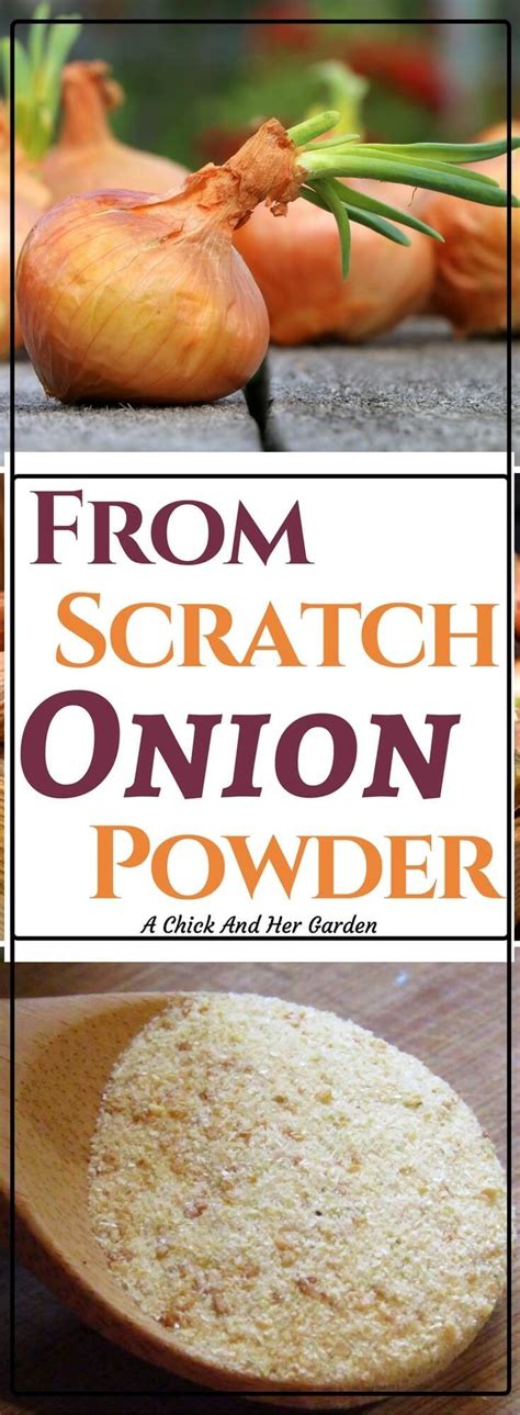 Make Your Own Onion Powder | Recipes, Homemade seasonings, Homemade spices