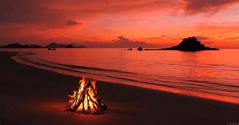 Campfire GIF - Find & Share on GIPHY