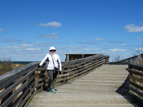 Chesapeake Bay Beach Boardwalk | Chesapeake Bay Beach Boardw… | Flickr