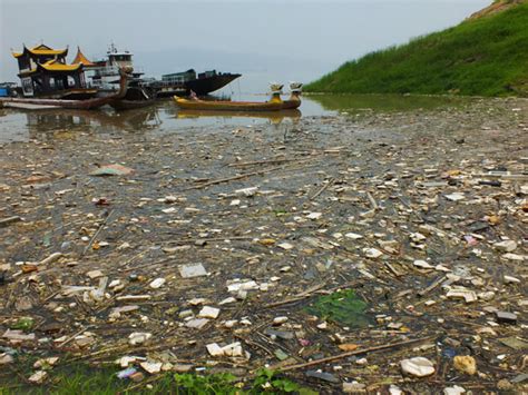 Yangtze River plagued by floating garbage[5]- Chinadaily.com.cn