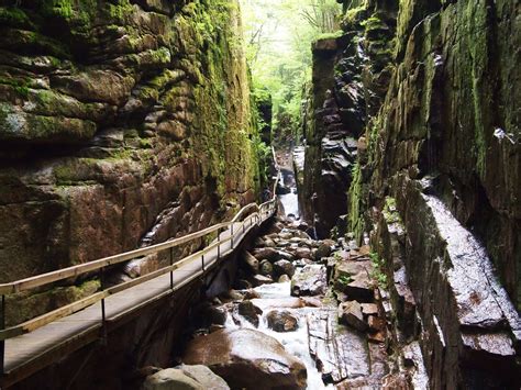 Discovering the Natural Wonder of Flume Gorge in New Hampshire