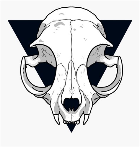 Animal Jam Clans Wiki - Simple Cat Skull Drawing , Free Transparent Clipart - ClipartKey