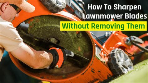 How To Sharpen Lawn Mower Blades Without Removing Them (Step By Step)