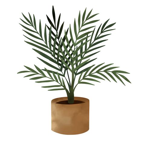 Download Free House Plant PNG Images Transparent Backgrounds