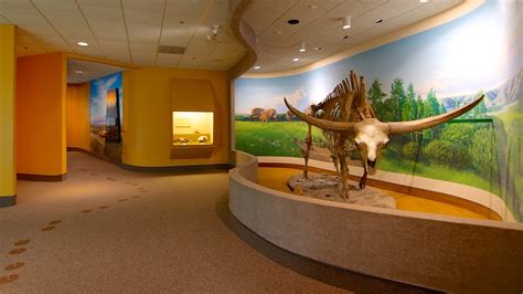 Royal Saskatchewan Museum in Regina, Saskatchewan | Expedia.ca