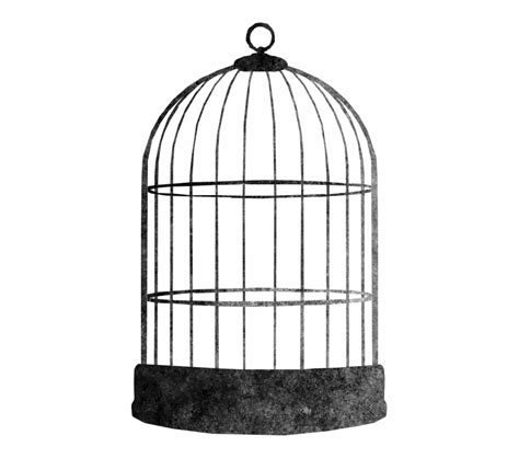 Silhouette Bird Cage Png - Monochrome bird silhouette concept vector.