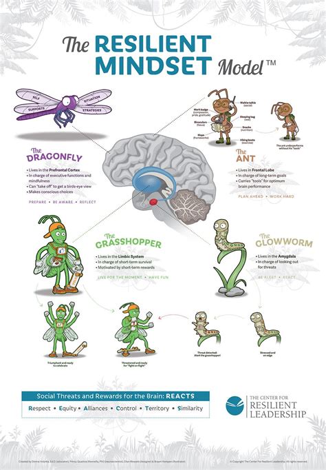 The-Resilient-Mindset-Model updated 2 | Emotional resilience ...