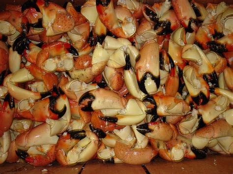 You Have Stone Crab Claws - Now What