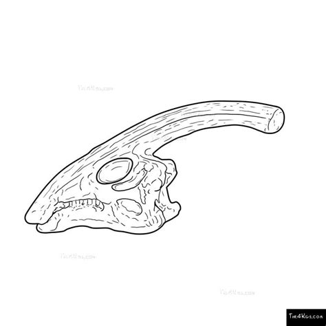 Parasaurolophus Fossil Dig - The 4 Kids