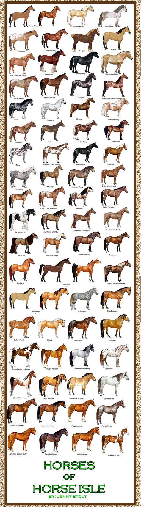 Breed Chart: Horses 0f the isle | Horse breeds, Horses, Pretty horses