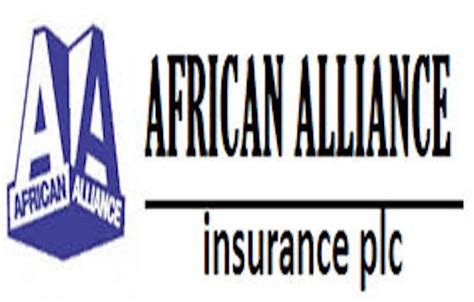 African Alliance Hosts Foundation | THISDAYLIVE