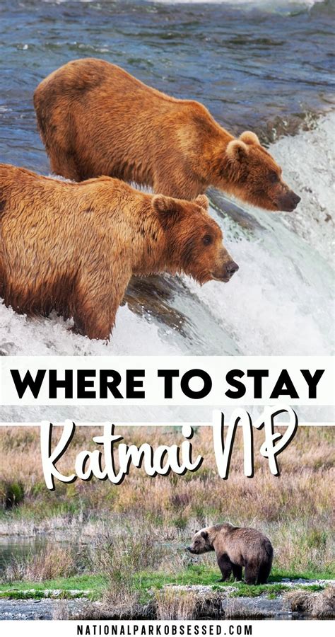 The Complete Guide to Brooks Lodge in Katmai National Park - National ...