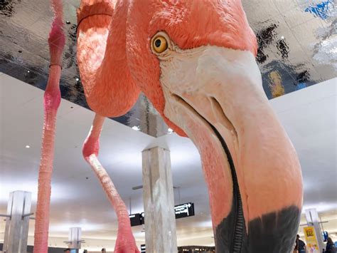 Massive Flamingo Installation Lands at Florida Airport | My Modern Met