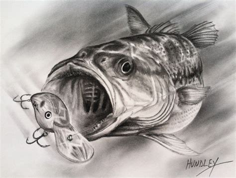 "Shasta Spottie" 9 x 12 in. Charcoal. See more here: http://artbycy.com/ Fish Drawings, Animal ...