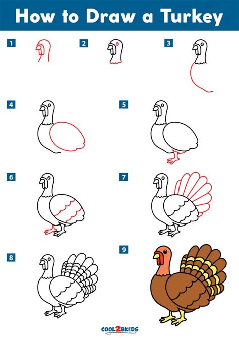 How to Draw a Turkey - Cool2bKids