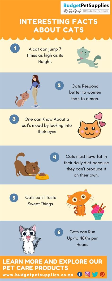 Interesting Facts About Cats | UCollect Infographics | Cat facts, Fun ...