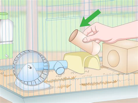 How to Set up a Mouse Cage: 14 Steps (with Pictures) - wikiHow