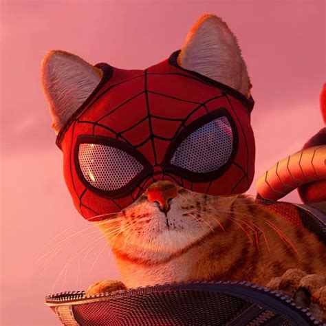 Marvel's Spider-Man: Miles Morales Pfp | Pretty cats, Cute cats, Spiderman