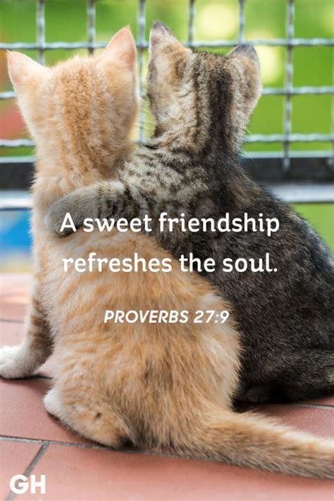 25 Short Friendship Quotes for Best Friends - Cute Sayings About Friends