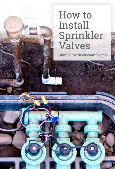 How to Install Irrigation Valves: Part 1 of the Sprinkler System | Irrigation valve, Sprinkler ...