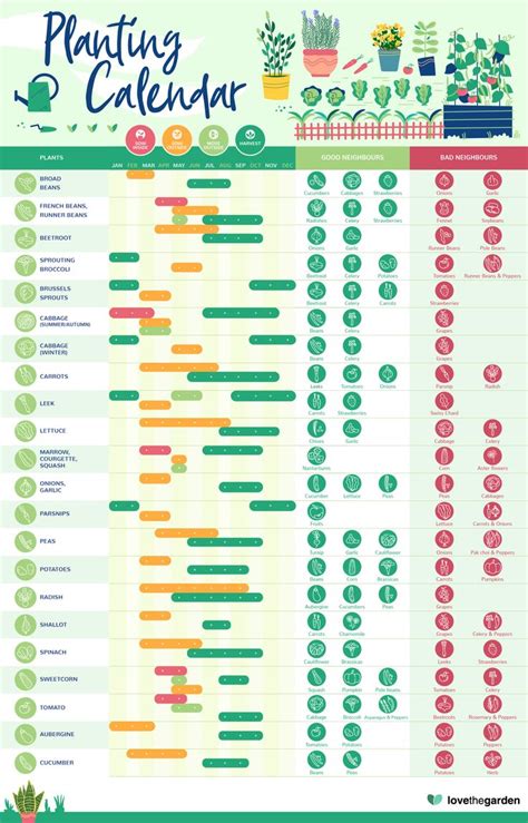 When to Plant Garden Calendar | Love The Garden | Garden calendar ...