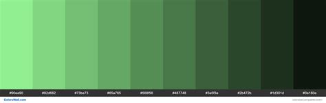 Shades of Light Green #90EE90 hex color | Light green color code, Neon colour palette, Hex colors
