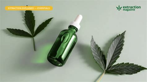 what-is-Tincture-extraction-magazine-glossary - Extraction Magazine