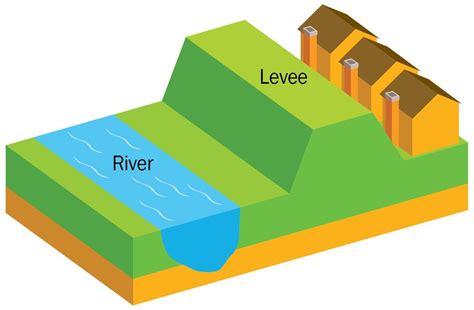 Levees Diagram